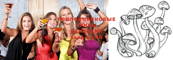 винт Нея