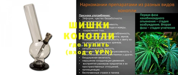 ПСИЛОЦИБИНОВЫЕ ГРИБЫ Аркадак